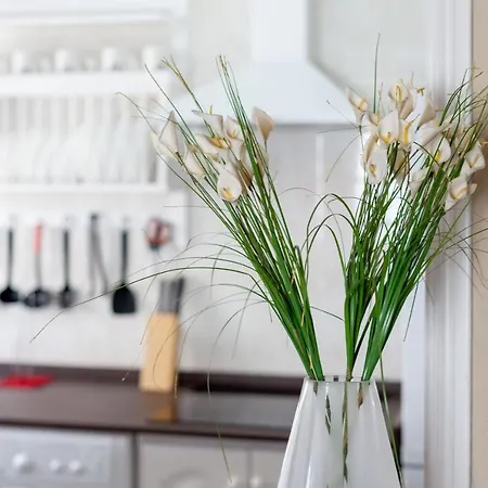 Lägenhet Goya 1º Solo Familias Conil De La Frontera